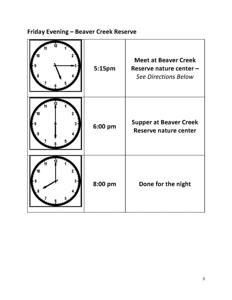 Schedule - Aphasia Friendly Final 2018_Page_3